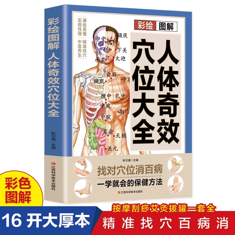 Complete Guide to Acupoint Mas - مراجعة Health & Wellness Fee وسعره
